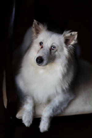 krystle31910.jpg