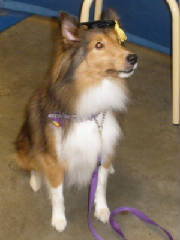 lacey_graduation_beginner_cropped.jpg