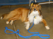 wendy_beginner_graduation_1_cropped.jpg