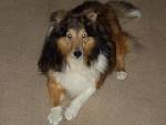 stormy2007.jpg